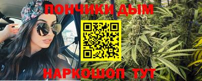 стаф Кинель