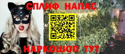 стаф Кинель