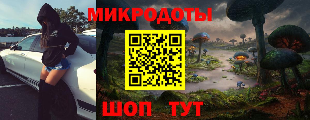 Алапаевск  Псилоцибиновые грибы Psilocybine cubensis  Вход с VPN  Псилоцибиновые грибы MAGIC MUSHROOMS 